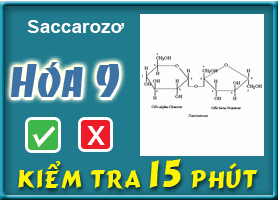 Saccarozơ