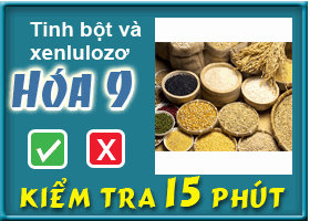 Tinh bột và xenlulozơ