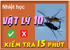 Các hiện tượng bề mặt của chất lỏng
