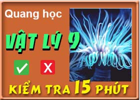 Màu sắc các vật dưới ánh sáng trắng và dưới ánh sáng màu