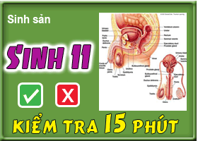 Cơ chế điều hòa sinh sản