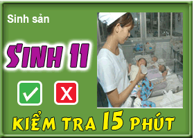 Điều khiển sinh sản ở động vật và sinh đẻ có kế hoạch ở người