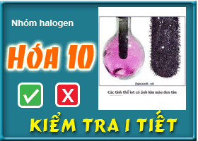 Kiểm tra chương: Nhóm halogen