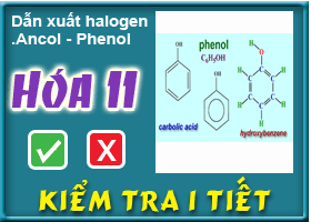 Dẫn xuất halogen.Ancol - Phenol