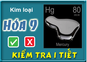 Kiểm tra chương: Kim loại