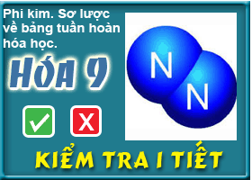 Kiểm tra chương: Phi kim. Sơ lược về bảng tuần hoàn hóa học.