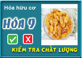 Kiểm tra chất lượng phần: Hóa hữu cơ