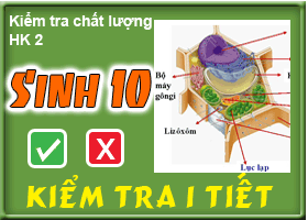 Kiểm tra chất lượng HK 2