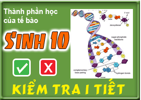 Thành phần học của tế bào