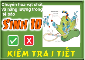 Chuyển hóa vật chất và năng lượng trong tế bào