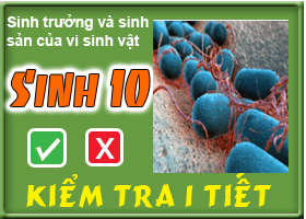 Sinh trưởng và sinh sản của vi sinh vật