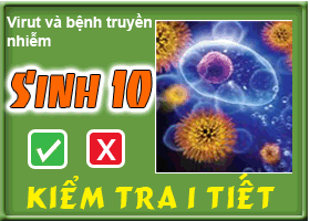 Virut và bệnh truyền nhiễm