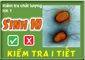 Kiểm tra chất lượng HK 1