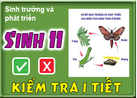 Kiểm tra chương: Sinh trưởng và phát triển