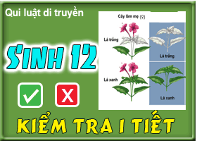 Qui luật di truyền