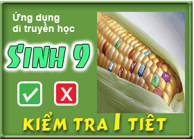 Ứng dụng di truyền học