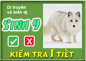 Di truyền và biến dị