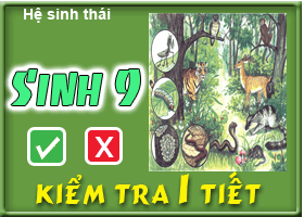 Hệ sinh thái