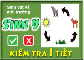 Sinh vật và môi trường