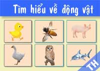 Tìm hiểu về động vật?