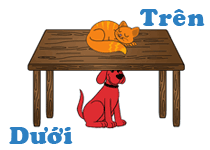 Xác định vị trí trên - dưới